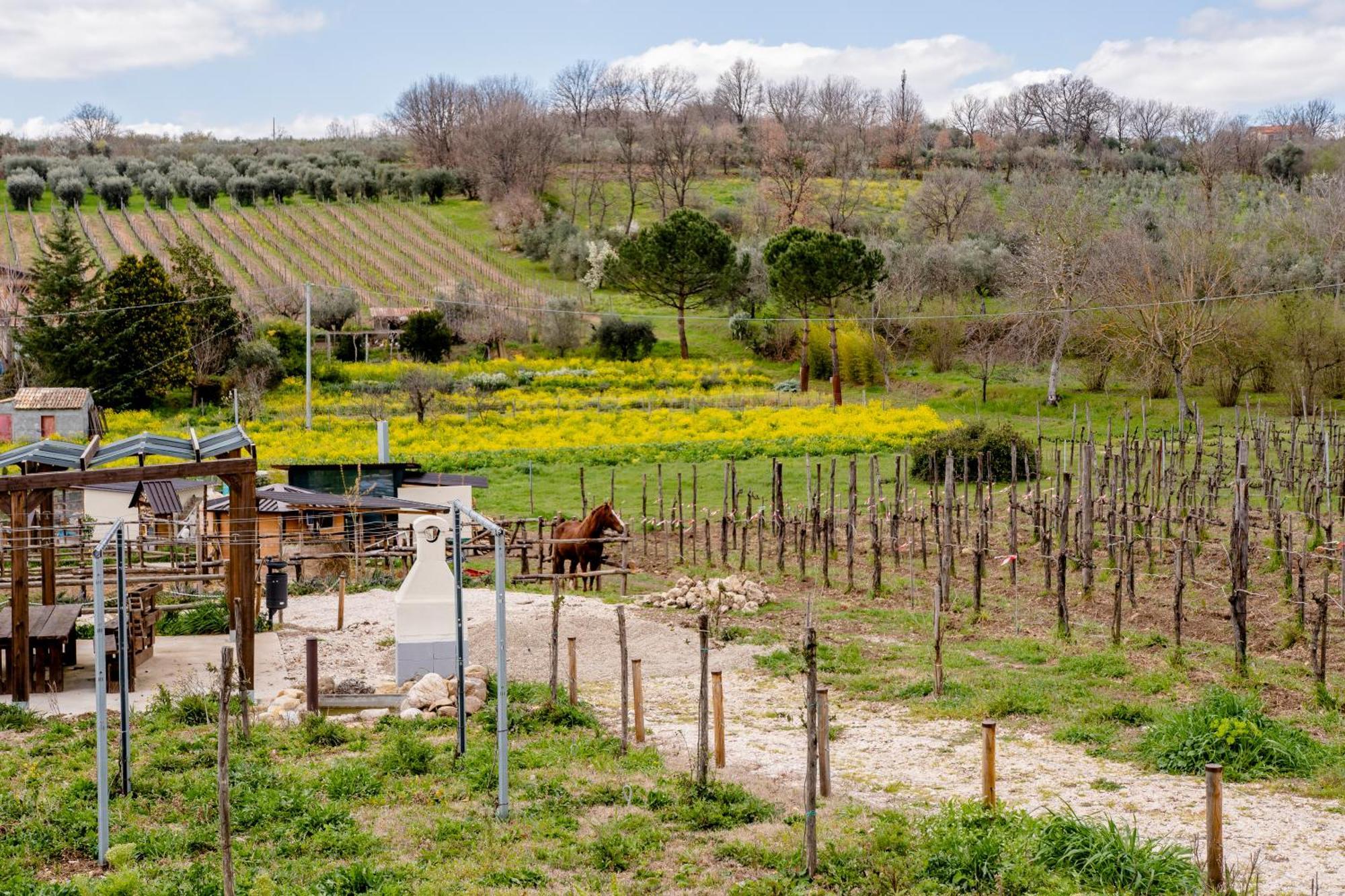 הוילה Paternopoli Il Poggio Degli Antichi Sapori מראה חיצוני תמונה
